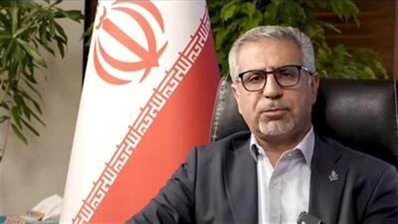 ایرانپلاست فرصتی برای تعامل با ذینفعان و یافتن راهکارهای مالی است