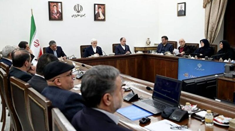 هشدار صریح دولت به خودروسازان متخلف 
