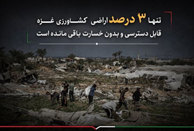  ۹۷ درصد زمین&zwnj;های کشاورزی غزه قابل استفاده نیست
