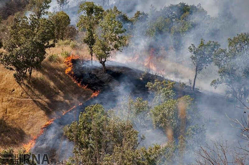 نابودی جنگل های زاگرس در آتش اختلاف نهادهای مسئول و كم كاری استان­های درگیر