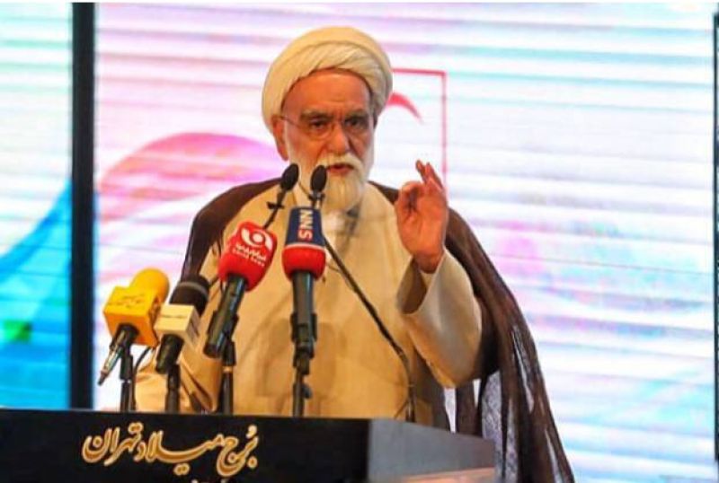عملکرد هلال احمر در خدمت&zwnj;رسانی به زائران اربعین حسینی درخشان بود