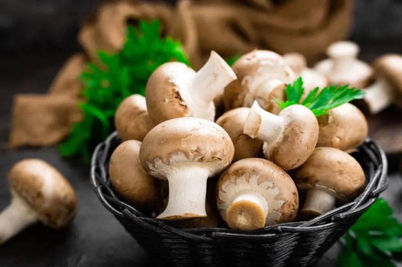 قیمت انواع قارچ اعلام شد