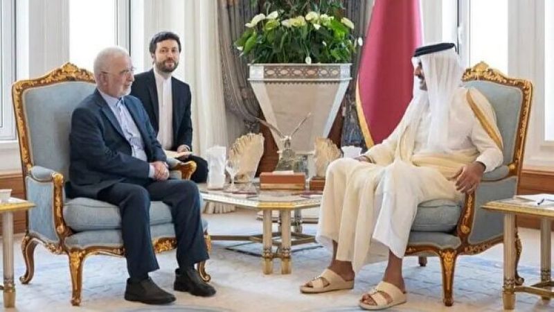  وزیر کشور: گفت&zwnj;وگوی سازنده&zwnj;ای با امیر قطر داشتیم