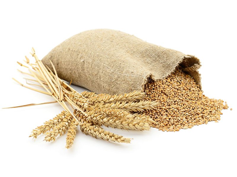   ۳ میلیون تن بیشتر از سال گذشته گندم داخلی خریداری شد
