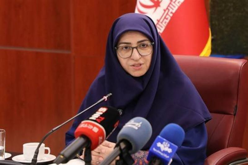  انصاری: گردشگری سبز و حفاظت مشارکتی، راهکار حفظ محیط زیست کشور