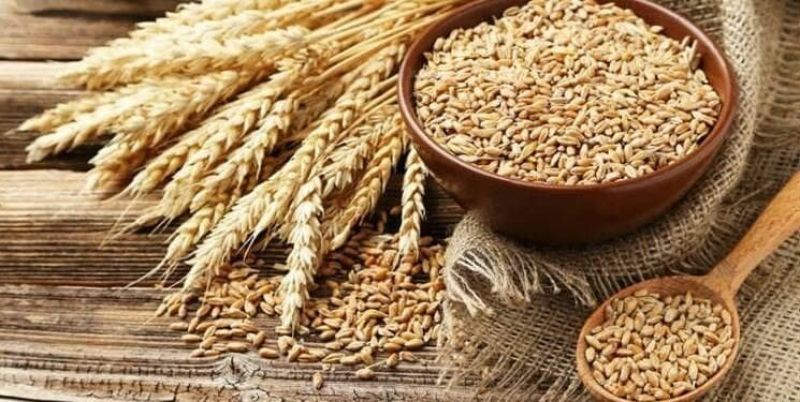 فرایند تدارک و تأمین گندم کشور از اردیبهشت&zwnj;ماه/گندم مورد نیاز و ذخایر راهبردی کشور تامین شد