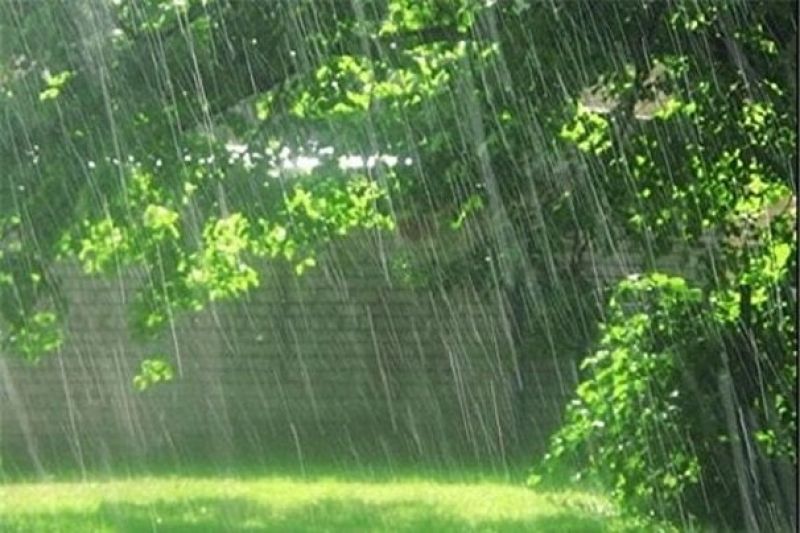 پیش بینی بارش باران و رعد و برق در شمال کشور