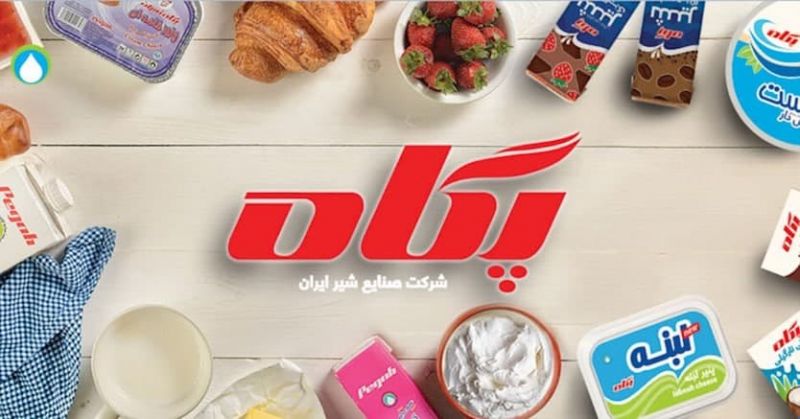 از رشد ۱۵۰ درصدی سود پگاه تا رکورد شکنی صادرات و تولید 