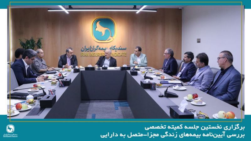برگزاری نخستین جلسه کمیته تخصصی بررسی آیین&zwnj;نامه بیمه&zwnj;های زندگی مجزا-متصل به دارایی